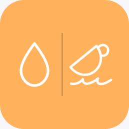 refills - liquid dish soap