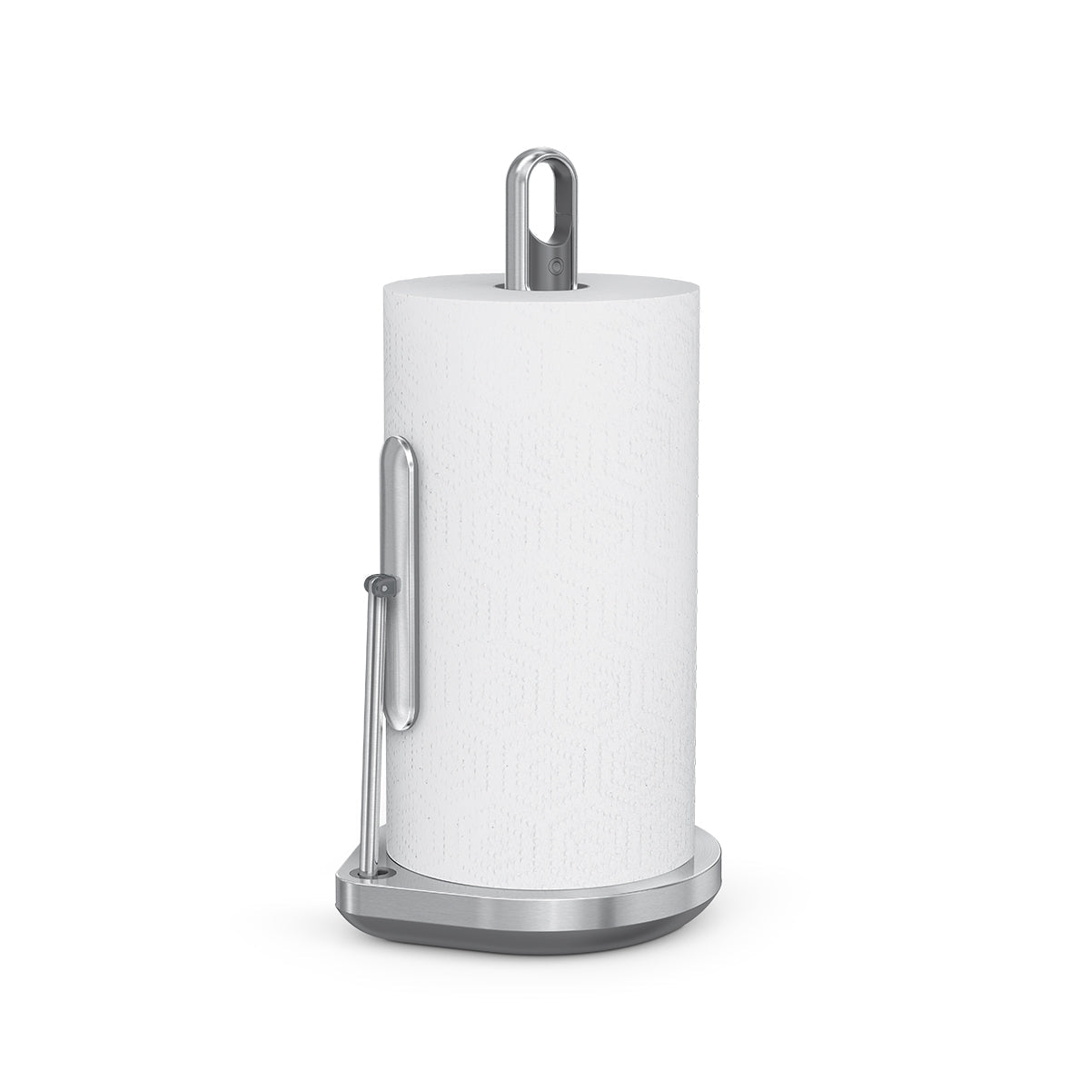 paper towel holder with spray product support