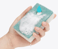 soapwell sponge